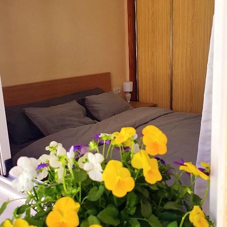 Isamar Apartamento Playa Del Cura Torrevieja Eksteriør billede