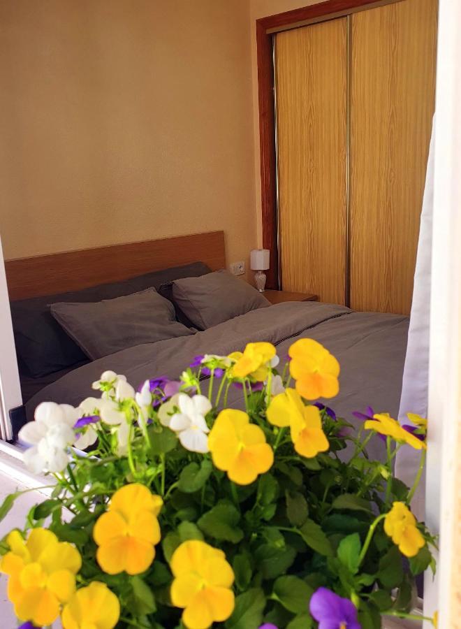 Isamar Apartamento Playa Del Cura Torrevieja Eksteriør billede